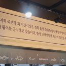 죽변항회물회 이미지