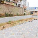 당리중학교