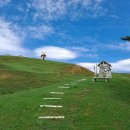 현지목장 이미지