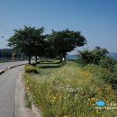 도래미마을 입구 이미지
