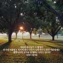 에덴동산 이미지