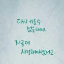 한얼태권도장 이미지