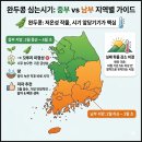 중부농장 | 완두콩심는시기 중부 봄 재배방법 | (+콩 재배 직접 심은 꿀팁)