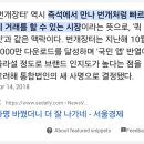 번개장터 뜻 이미지