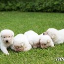 (주)한라에서백두까지