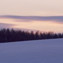 숲(Forest) 이미지