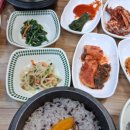 네스트(NEST) 이미지