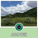 청도 카페 [카페보리] 방문 후기~