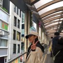 그냥 | 그냥 홍콩 여행 후기 [하이디라오/얏퉁힌/애문생]