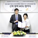 골드오션