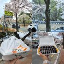 교리 | 경주 한식 먹거리 추천 교리김밥 본점 후기