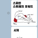 칠곡 수영장 이미지