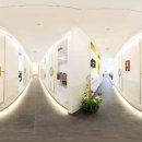 감선호취 이미지