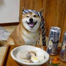 여수마르풀빌라 | 여수에서 만나는 이국적 인피니티풀과 스파, 여수 블루망고 리조트 블루동 프리미엄스파 내돈내산 솔직후기