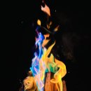 향림오토캠핑장 이미지