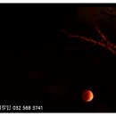 (주)메디칼준 이미지