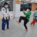 하늘태권도 이미지