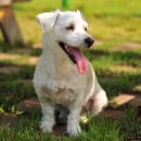 남원동물병원 이미지