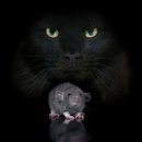 (주)다미 이미지