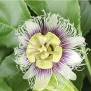 흙내음농장 이미지