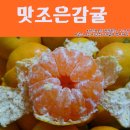 상효올레집