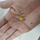 랄랄라약국 이미지