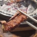 악어떼 노래연습장 이미지