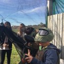 페인트볼 이미지