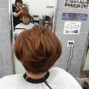 까슈헤어 - 칠곡군 | 까슈헤어