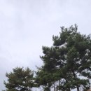 샘하우스