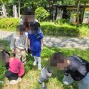 대전도솔유치원 이미지