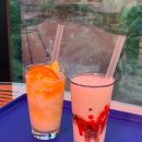 도토리짐(319) 이미지