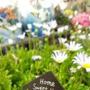 송국농장 이미지