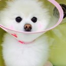 피엔피PC 이미지