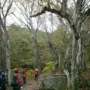 다무락마을 쉼터 이미지