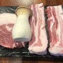 백돈청주 이미지