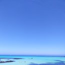 주식회사 버스투어여행사 이미지