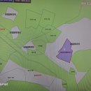 대덕읍전통시장(대덕시장) 이미지