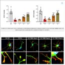 더크는한의원 | 호평동 소아성장한약, 안전하게 믿고 지을 수 있는 남양주한의원 찾는다면?