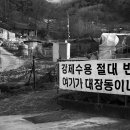 보문산로 이미지