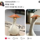 족발신선생 대전반석점 처음 먹어보는 화덕족발 쫀득한 족발집