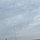 덕진호 좌대낚시터 이미지