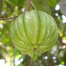 종로-종로-종로-종-101 이미지