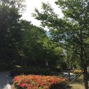 무지개골쌈지공원 이미지