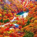 내장산 단풍 시기 내장산국립공원 내장사 단풍여행 이미지