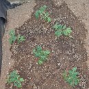 물금엔젤어린이집 이미지