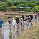 부여 서울농장 이미지