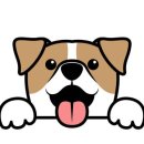 사송 동물 메디컬센터 이미지