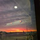 이태리뽕 | 9] 2/15 노잼도시? 보스턴 당일치기 코스! 하버드 뽕차기, 보스턴 차사건, 이탈리아 거리 웨이팅 후기...