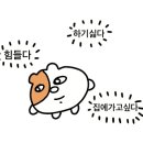 동탄역튼튼척의원 이미지